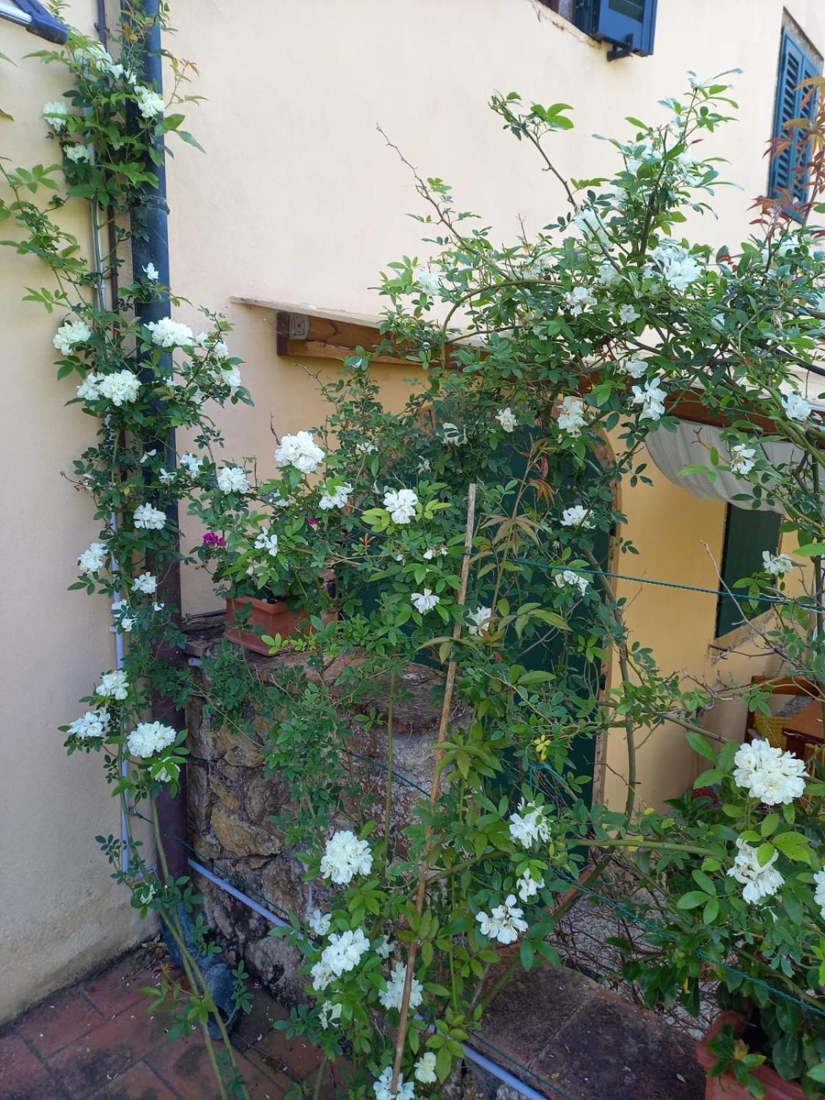 La Bellana Apartment Гуардистало Екстериор снимка