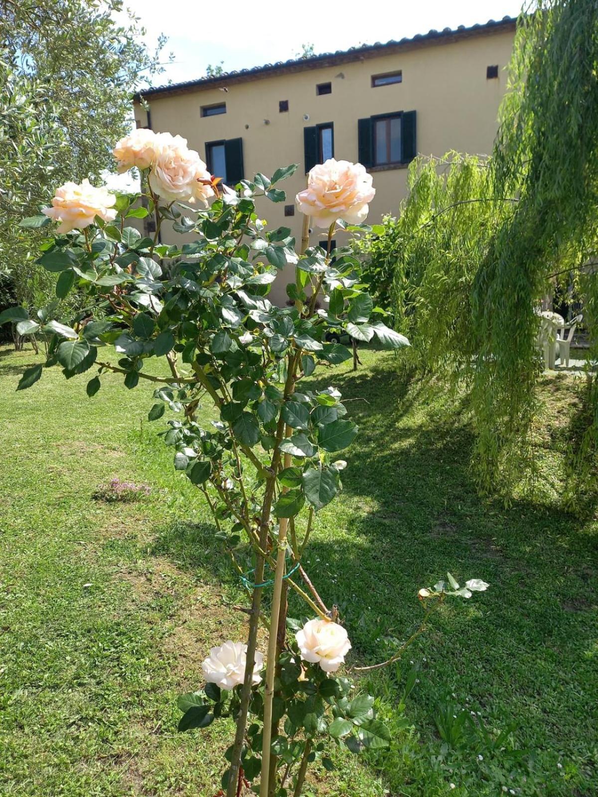 La Bellana Apartment Гуардистало Екстериор снимка